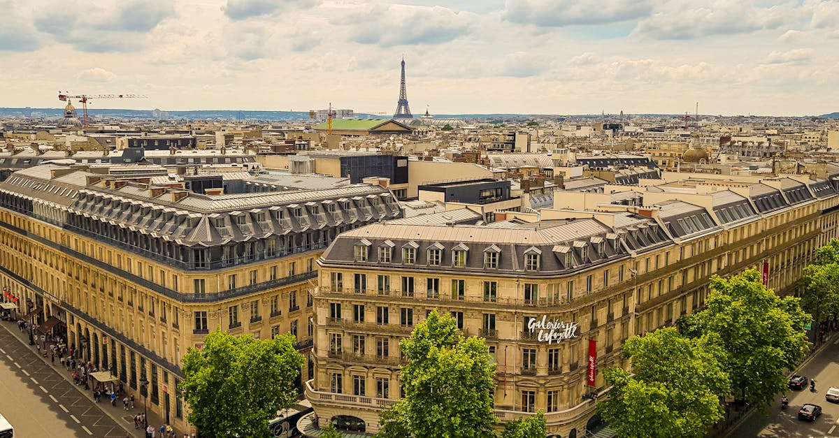 découvrez toutes les informations essentielles sur les élections municipales à paris : candidats, dates, enjeux et résultats pour bien voter.