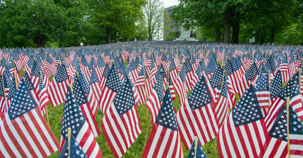 découvrez national tribute, un événement commémoratif dédié à honorer les héros nationaux et à célébrer leur courage et leur dévouement.