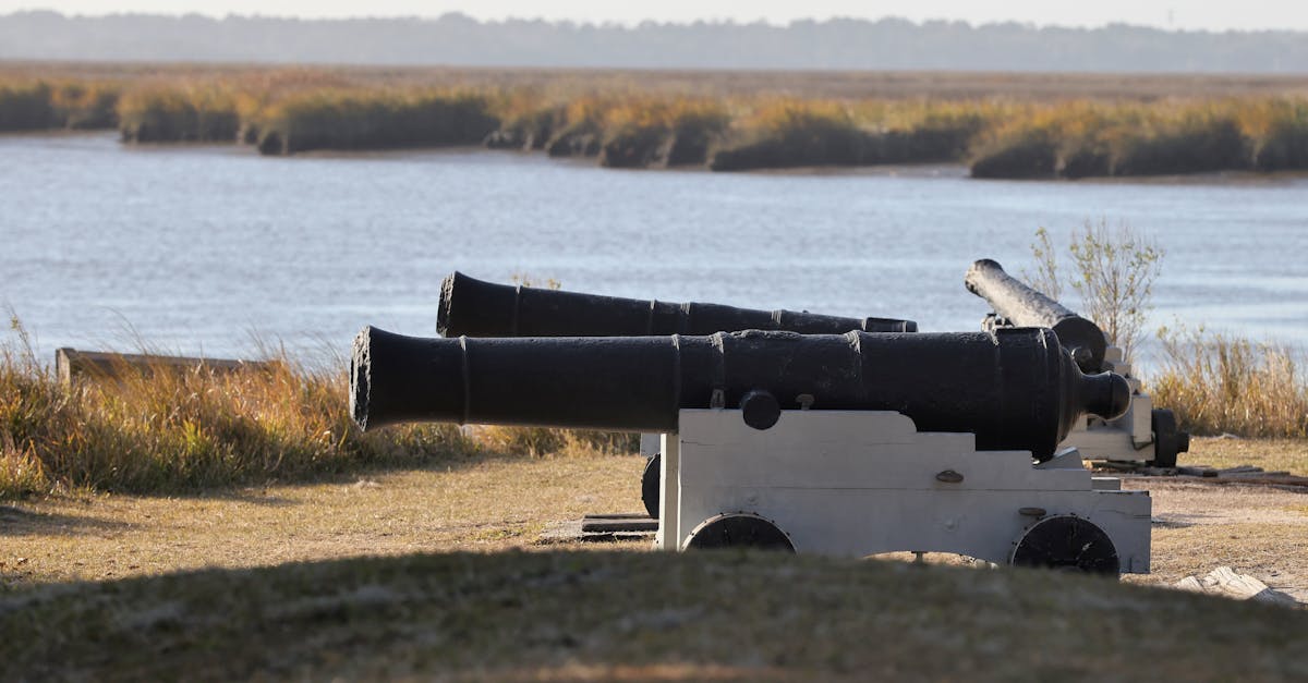 découvrez la vie et l'héritage de simone veil, icône de la politique française, défenseure des droits des femmes et première femme présidente du parlement européen.