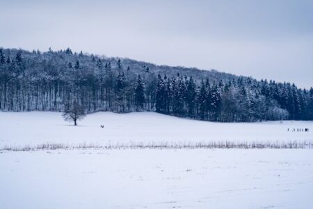 découvrez tout sur la neige : phénomènes, activités hivernales, conseils pratiques et actualités pour profiter pleinement de l'hiver.