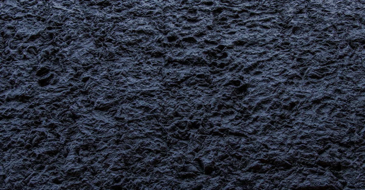 découvrez l'univers et la carrière de timothée chalamet, acteur talentueux reconnu pour ses performances captivantes au cinéma.