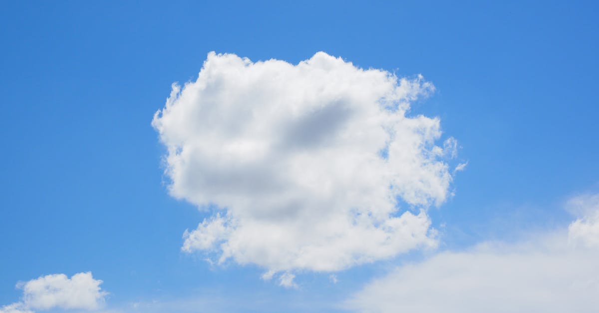 prévisions météo pour paris le 1er mars 2026 : températures, conditions météorologiques et conseils pour bien préparer votre journée.