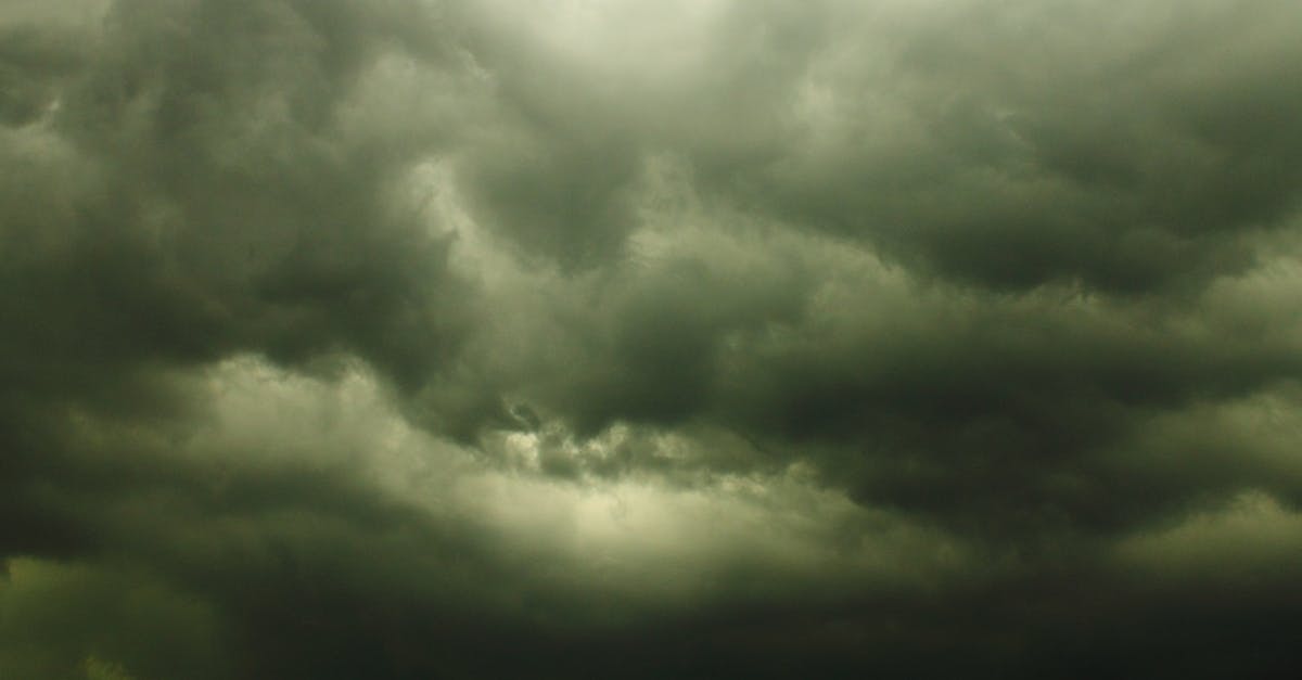 prévisions météo pour paris le 1er mars 2026 : température, conditions météorologiques et conseils pour bien préparer votre journée.